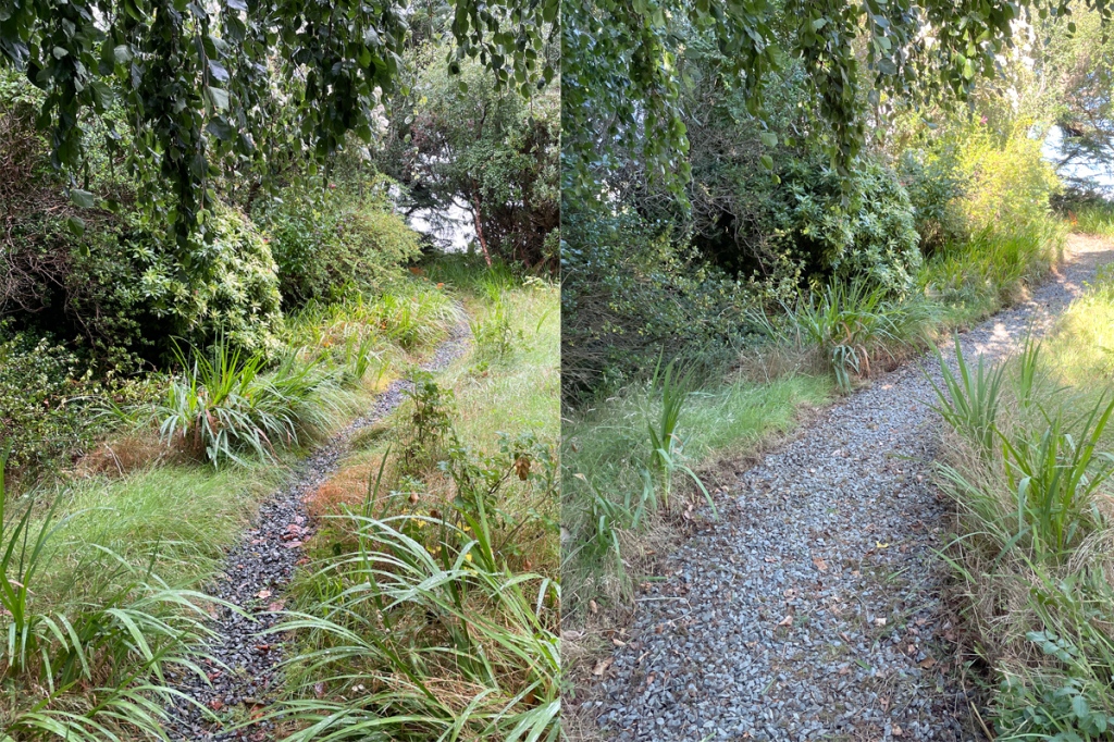 Two side-by-side photos show an overgrown gravel path next to a wider weeded gravel path.